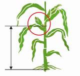 Увеличить Рабочий диапазон стал шире